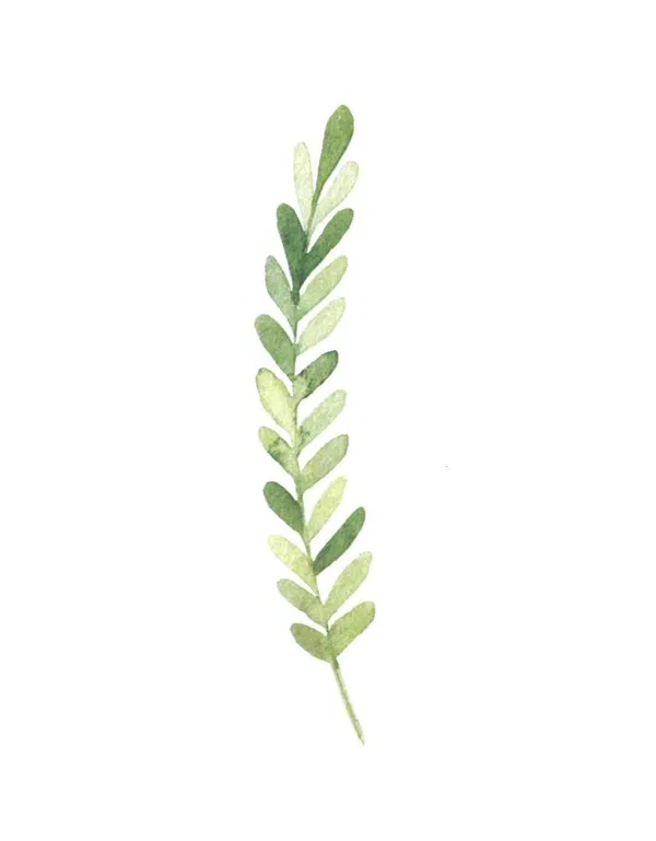 120-0133 Product Image 3