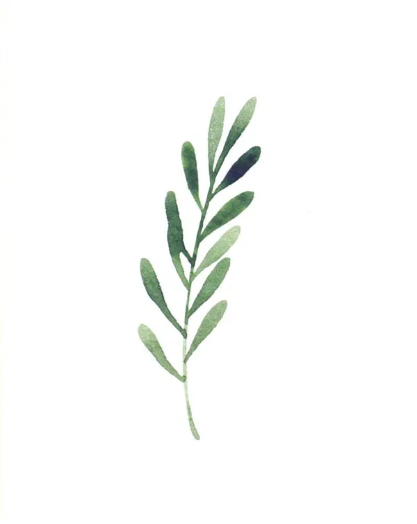 120-0133 Product Image 4