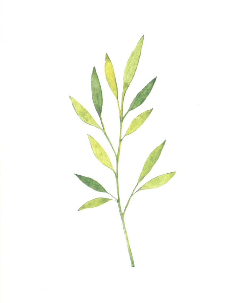 120-0133 Product Image 5