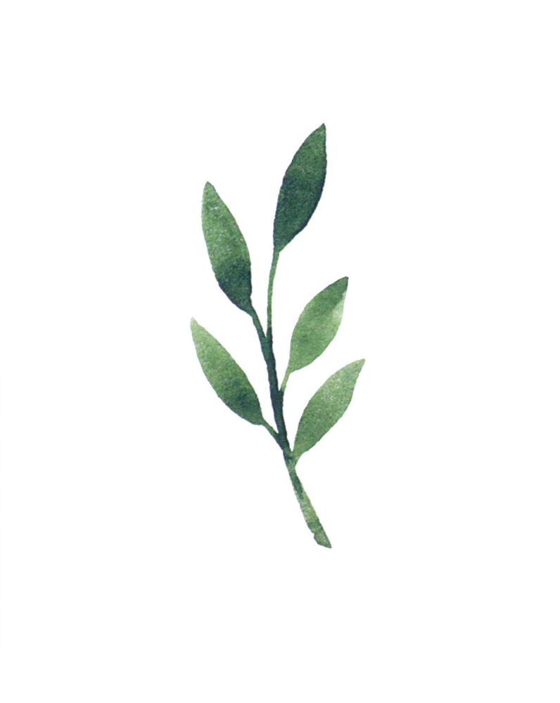 120-0133 Product Image 6