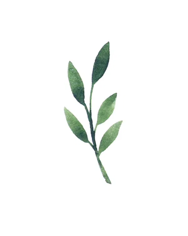 120-0133 Product Image 6