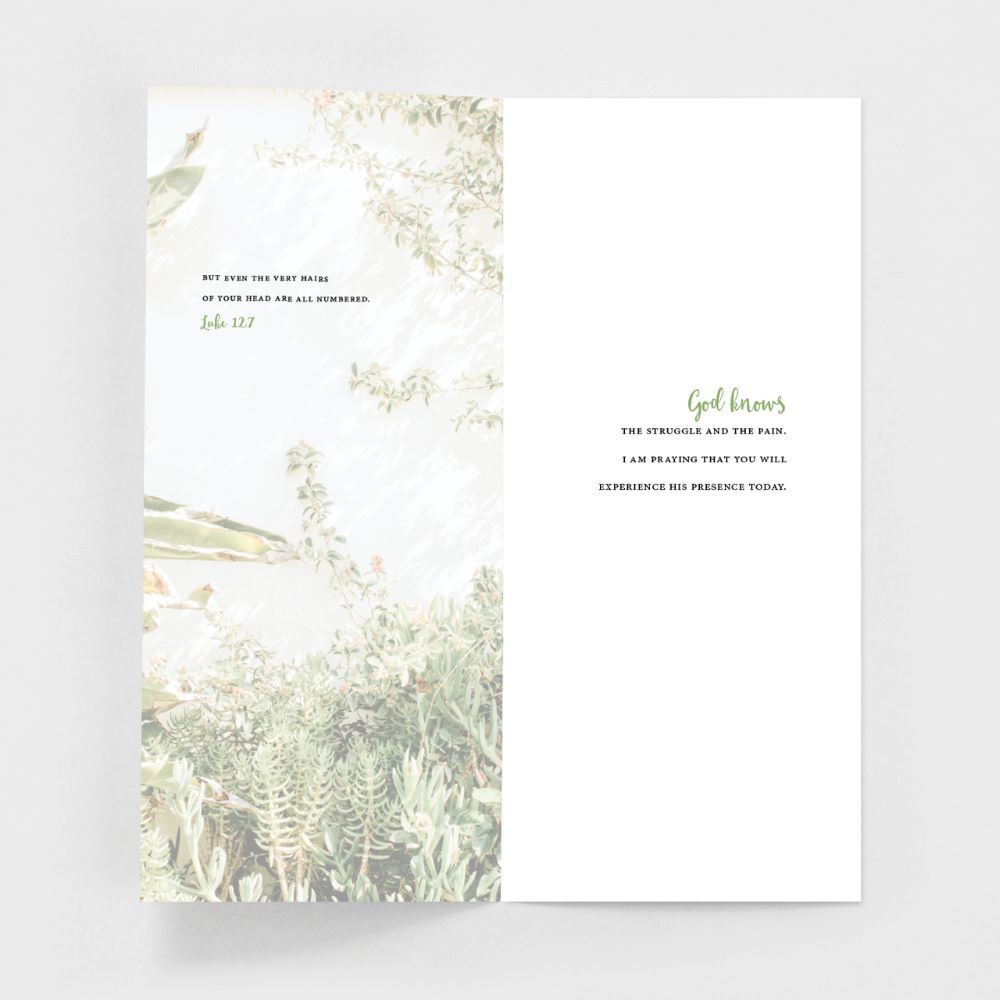 Product 120-0148 - View 10 120-0148 Product Image 10