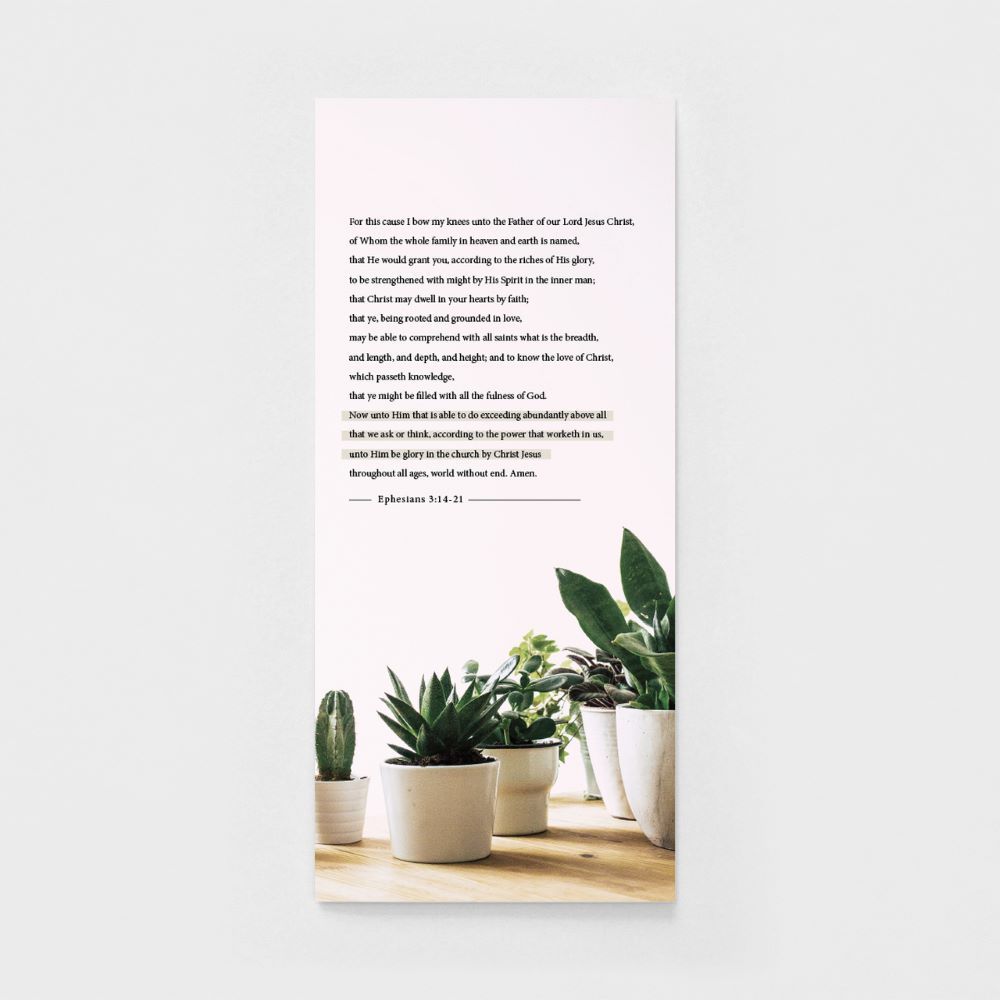 Product 120-0148 - View 3 120-0148 Product Image 3