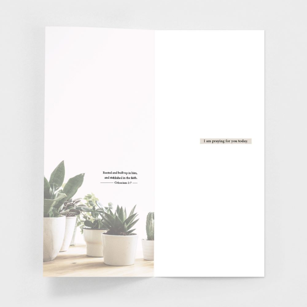 Product 120-0148 - View 4 120-0148 Product Image 4