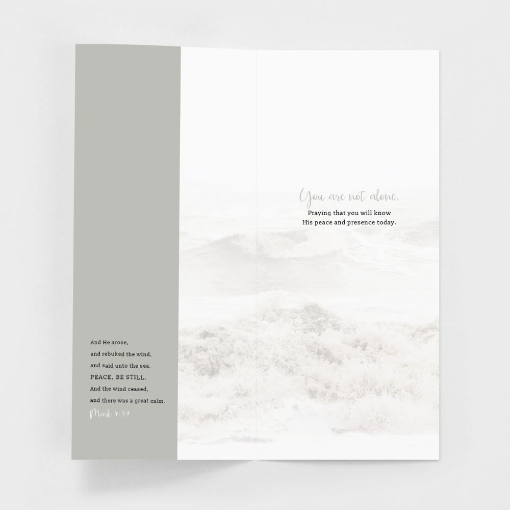 Product 120-0148 - View 8 120-0148 Product Image 8