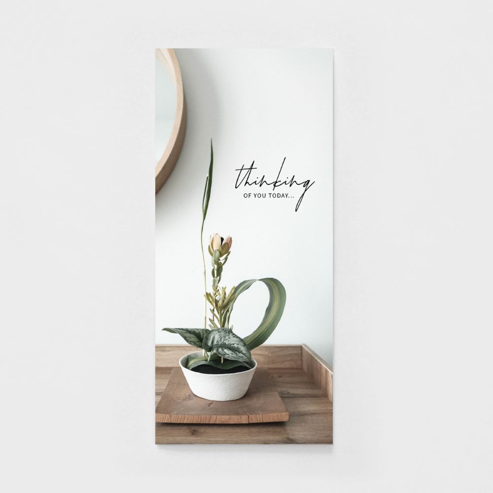 120-0150 Product Image 7