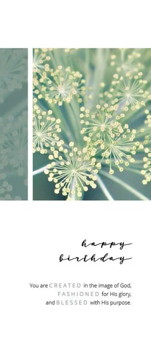 Admirable Birthday Cards-
