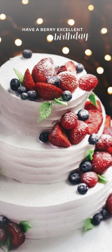 Product 120-0153 - View 5 120-0153 Product Image 5