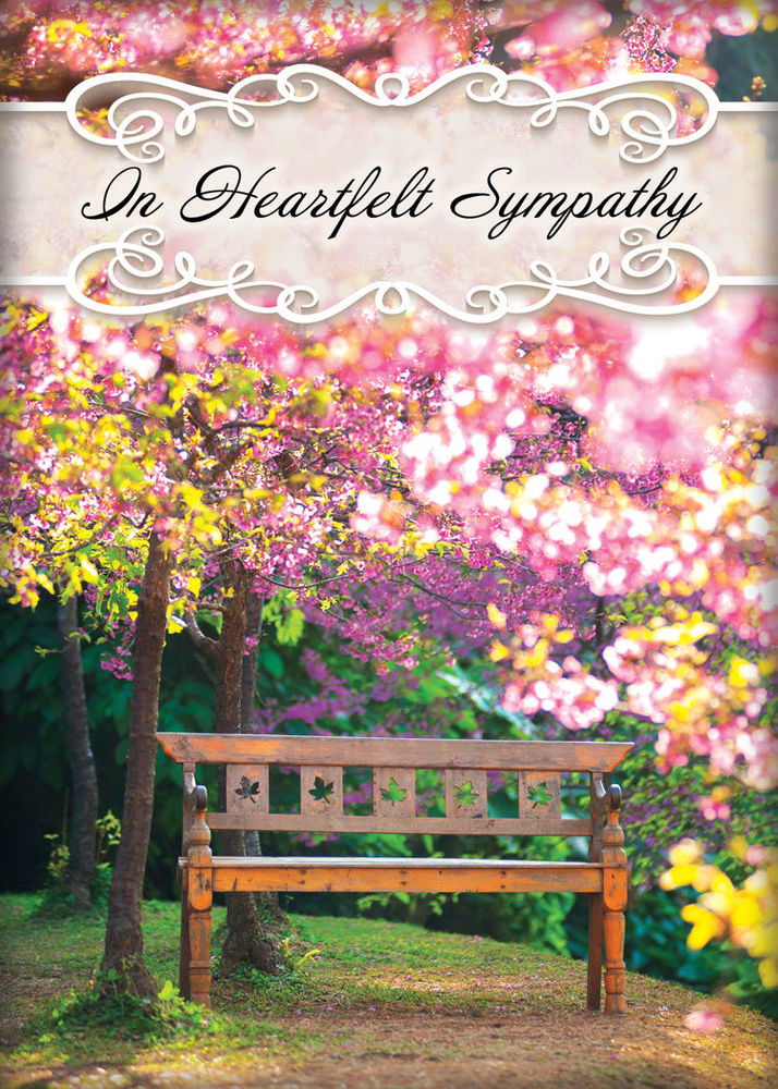 120-0161 Product Image 5