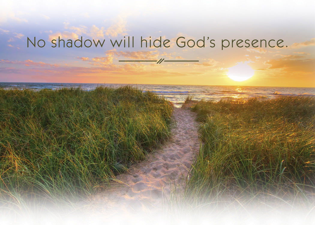 Product 120-0162 - View 5 120-0162 Product Image 5