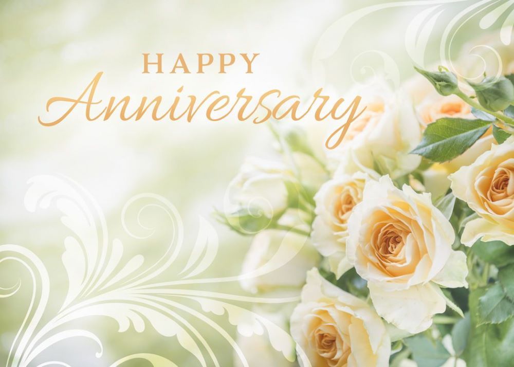 120-0164 Product Image 2