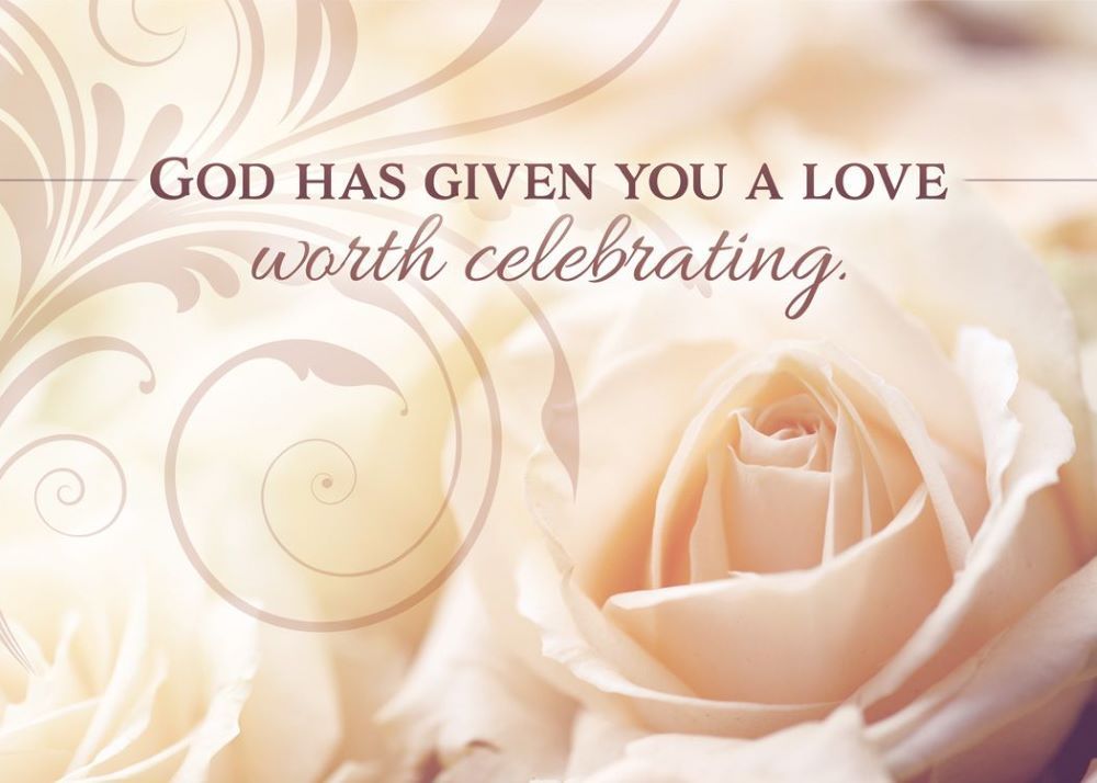 120-0164 Product Image 4