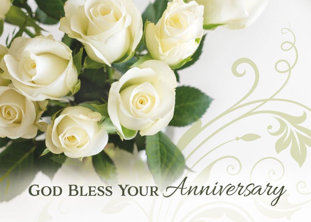 120-0164 Product Image 5