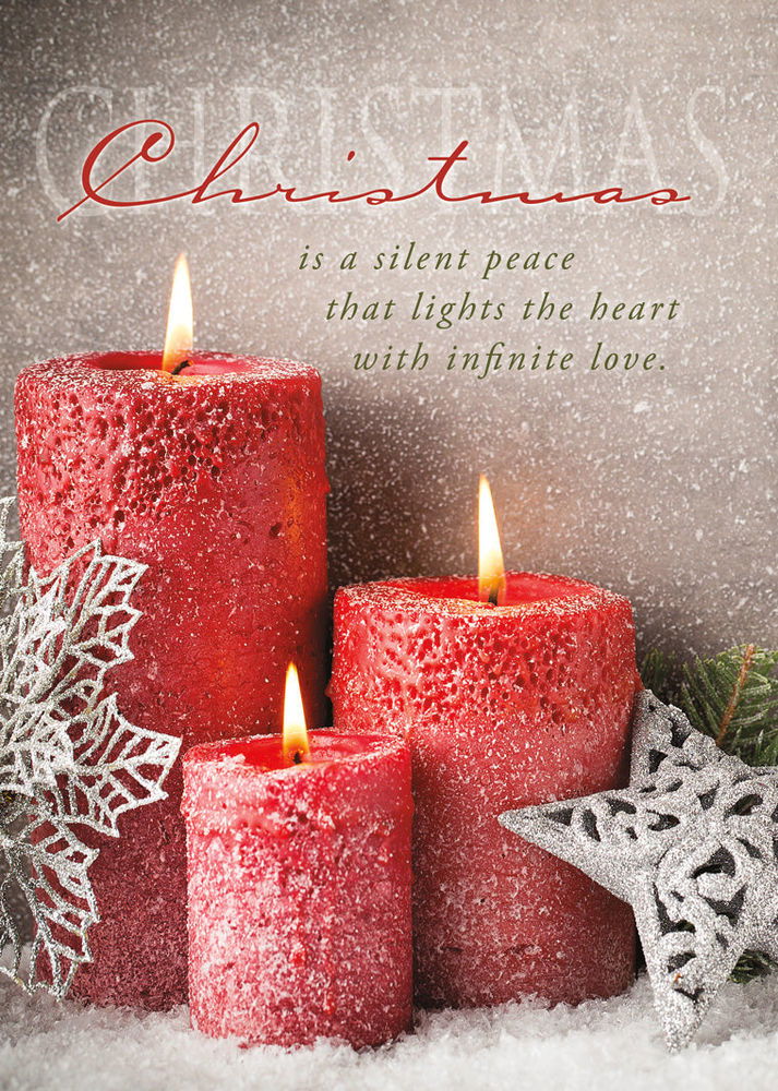 120-0167 Product Image 4