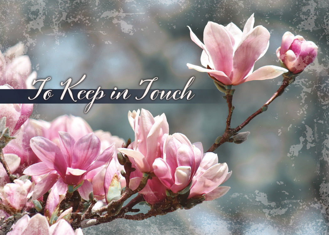 120-0167 Product Image 6