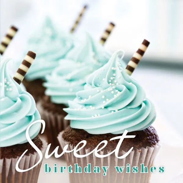 120-0177 Product Image 1