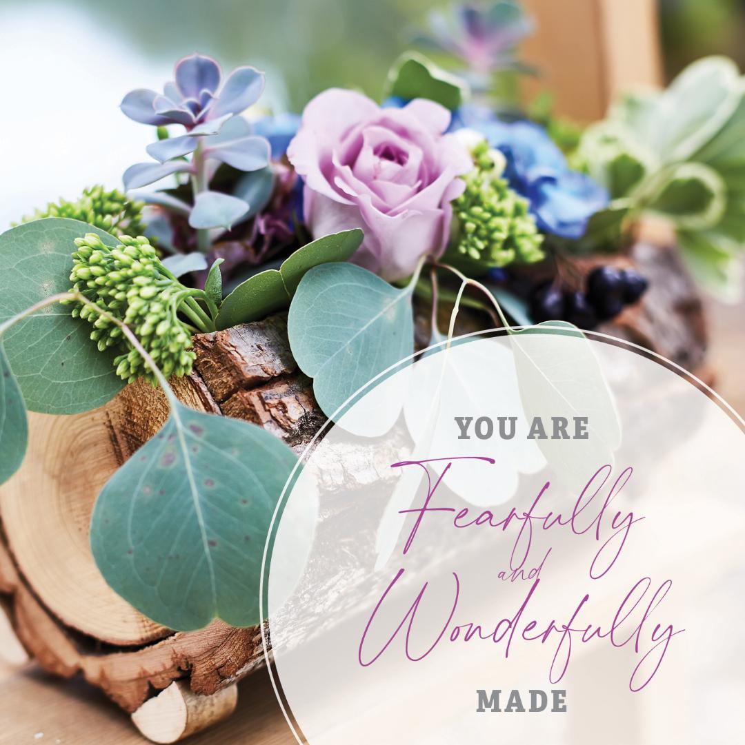 120-0178 Product Image 1