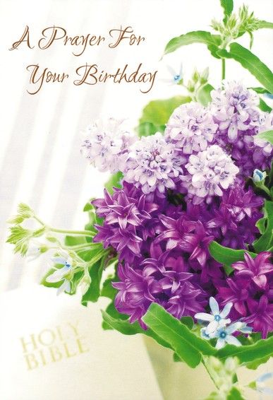 120-0234 Product Image 3