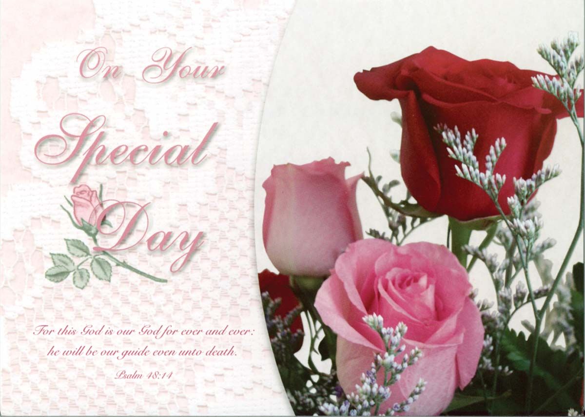 120-0516 Product Image 2