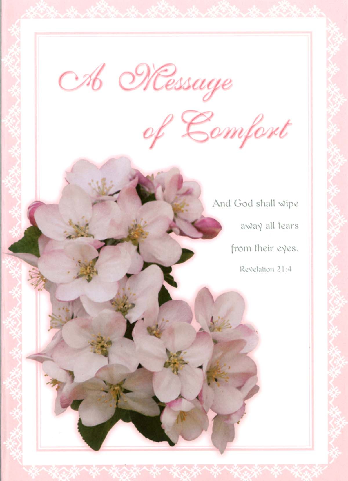 Product 120-0561 - View 2 120-0561 Product Image 2