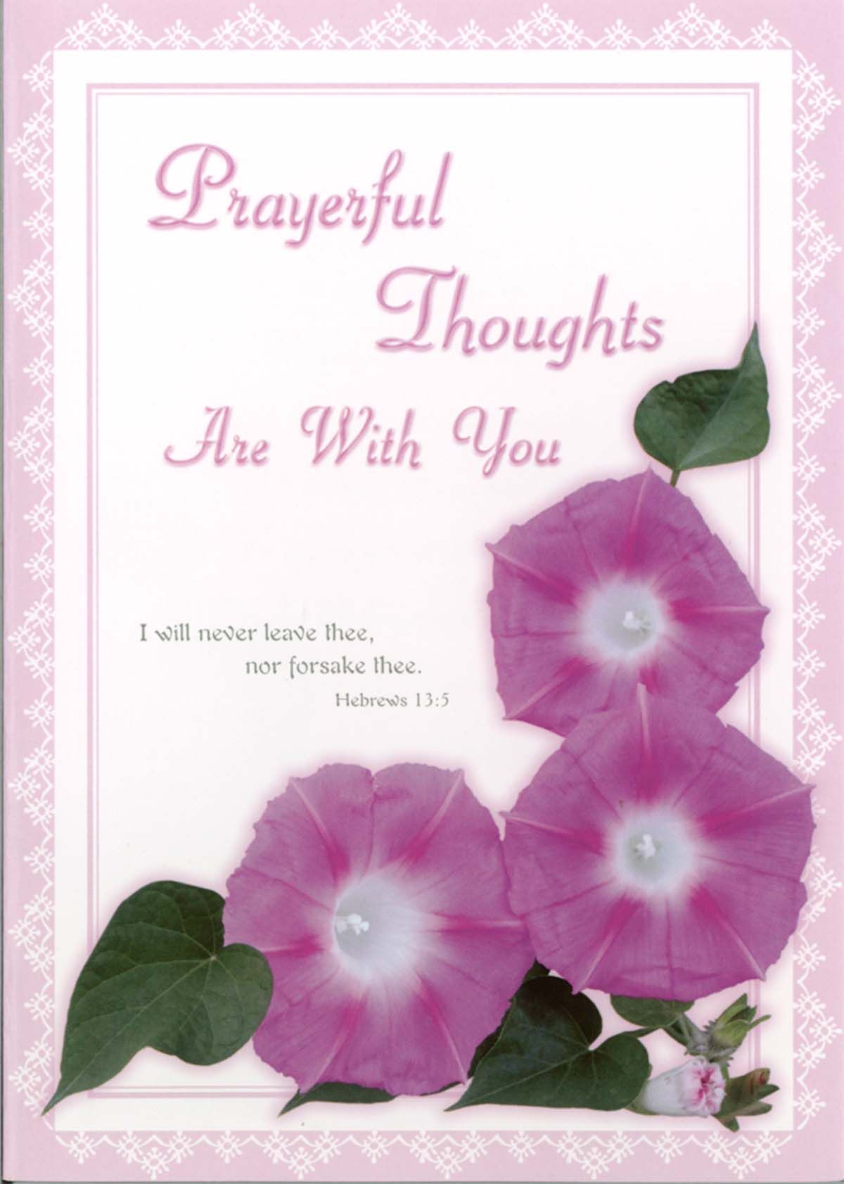 Product 120-0561 - View 5 120-0561 Product Image 5