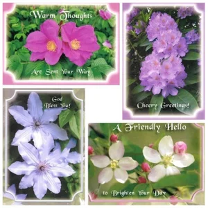 Cards Thinking of You Delicate Beauty