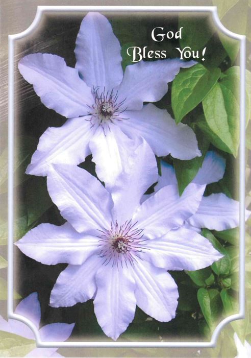 120-0604 Product Image 2