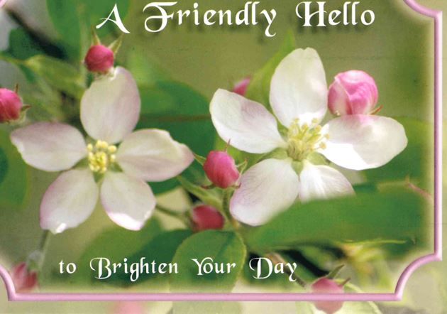 120-0604 Product Image 4