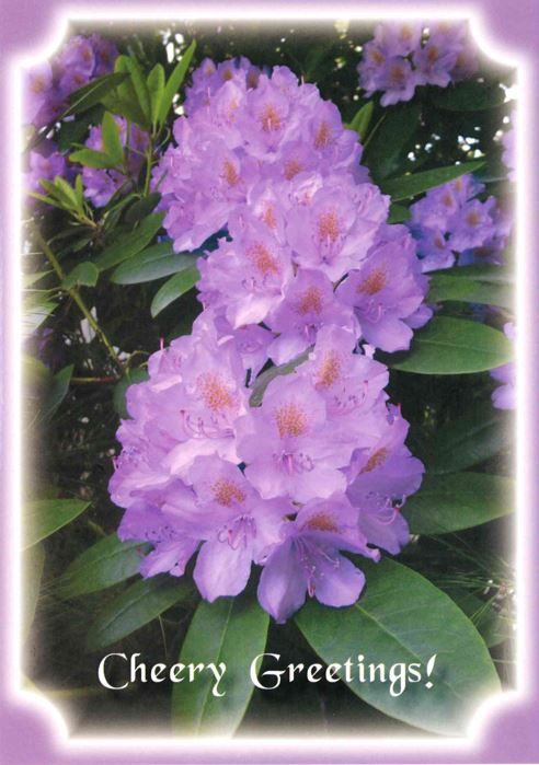 120-0604 Product Image 5