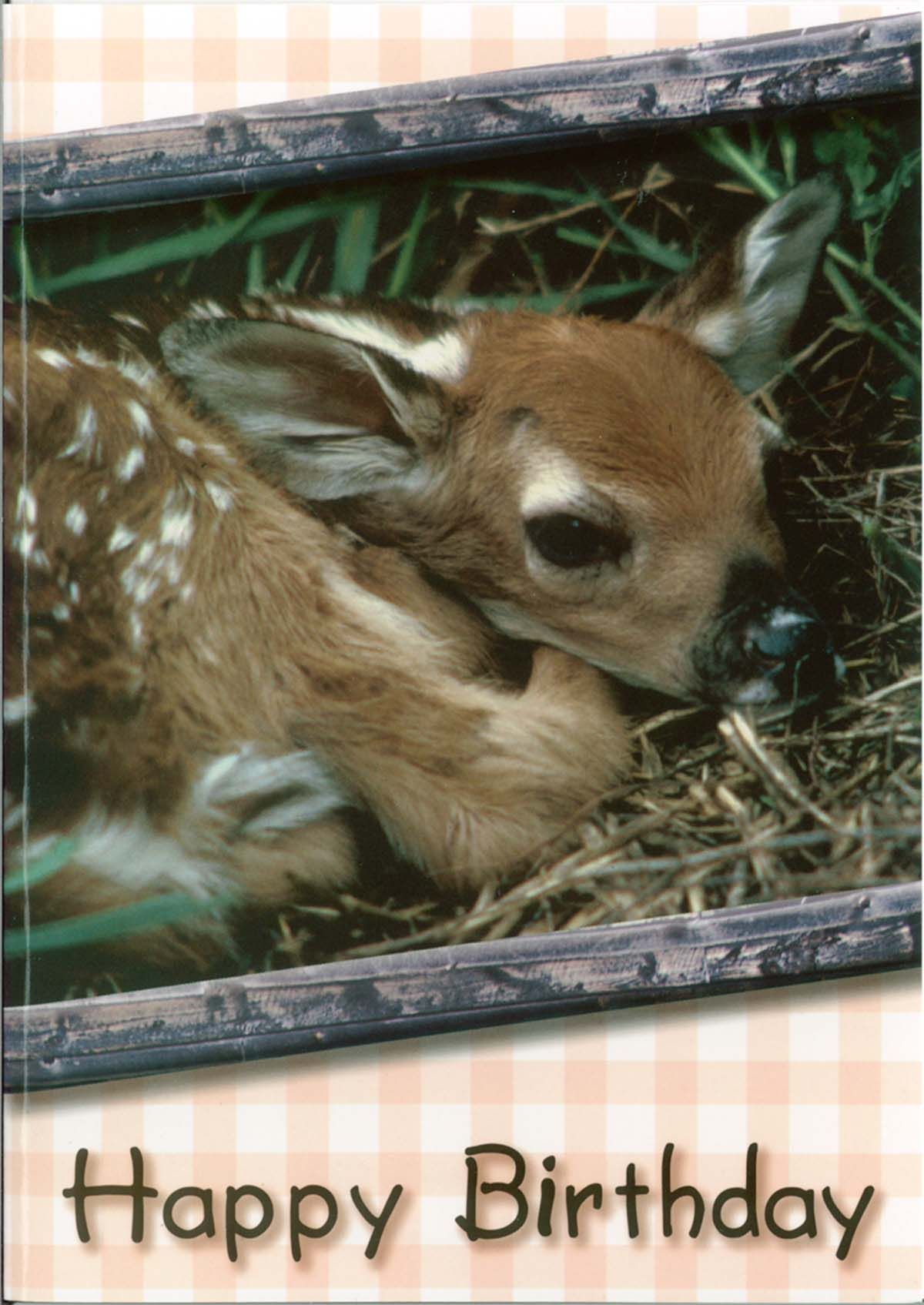 120-0639 Product Image 2