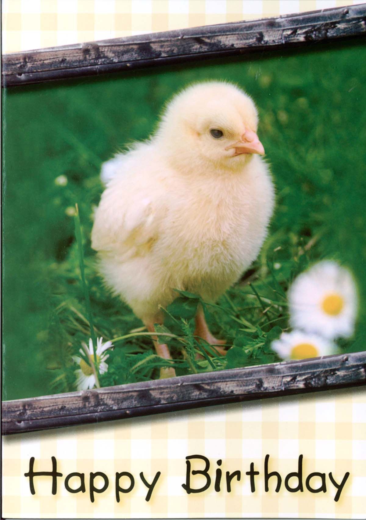 120-0639 Product Image 3