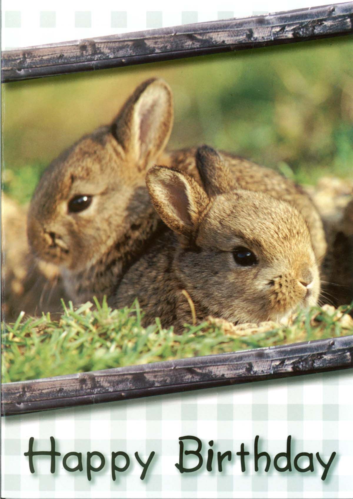 120-0639 Product Image 4