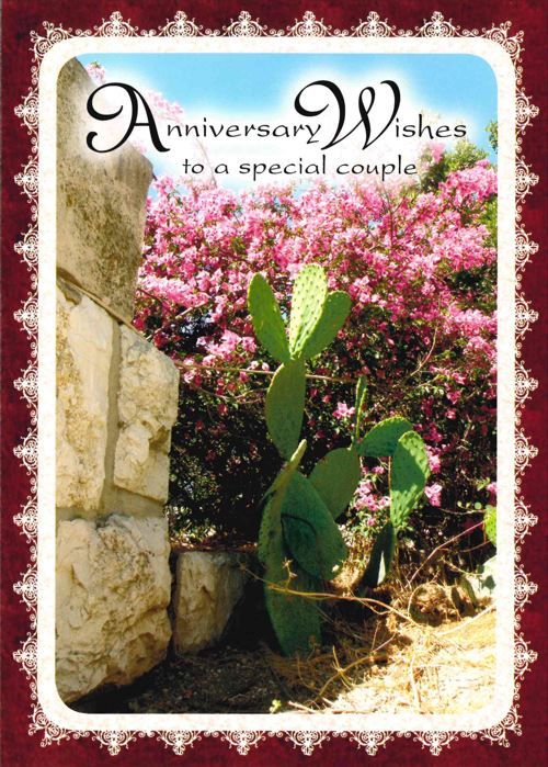 120-0741 Product Image 2