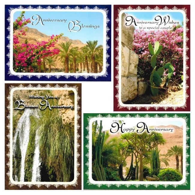 120-0741 Product Image 5