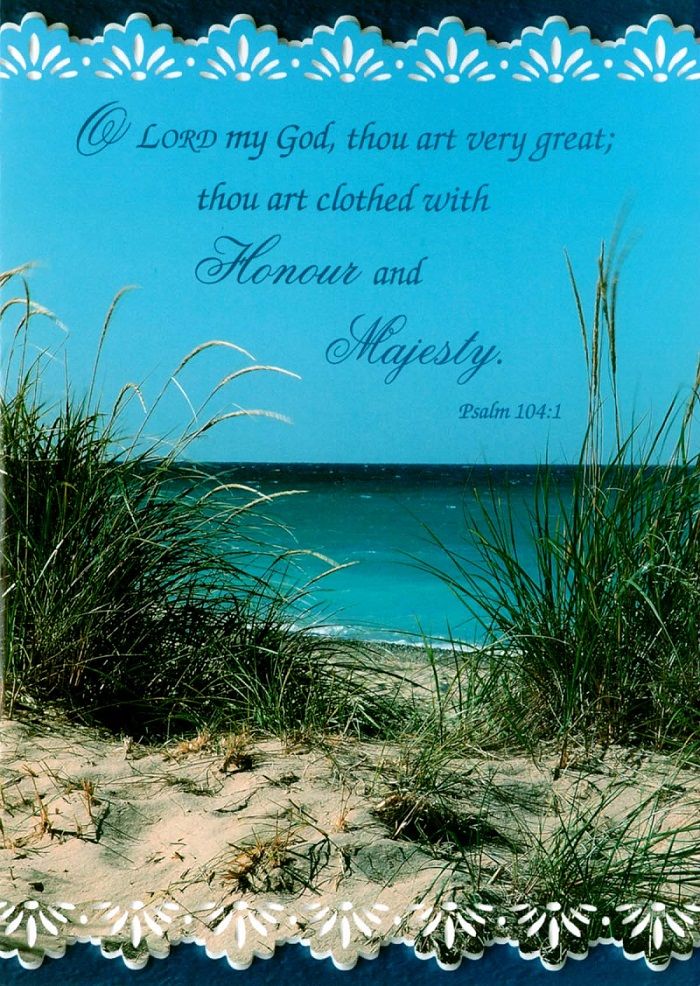 120-0749 Product Image 4