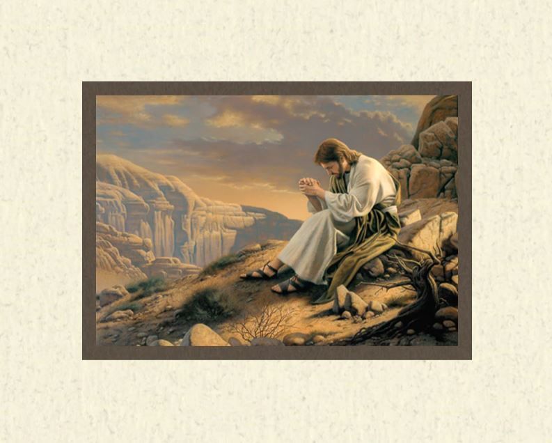 120-1751 Product Image 1