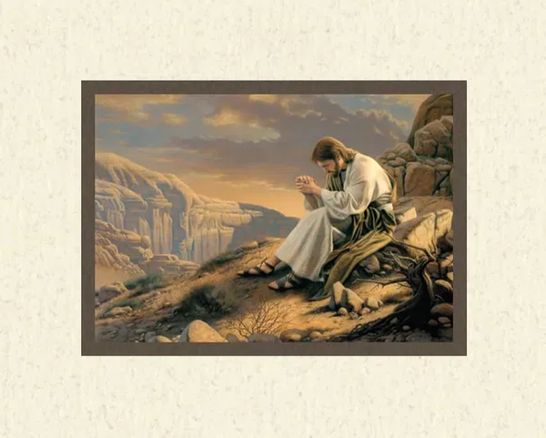 120-1751 Product Image 1