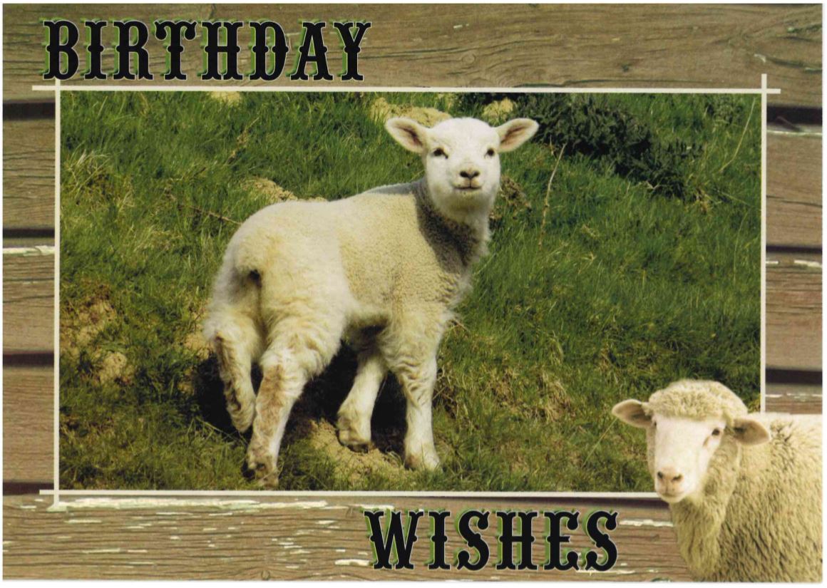 120-2233 Product Image 3