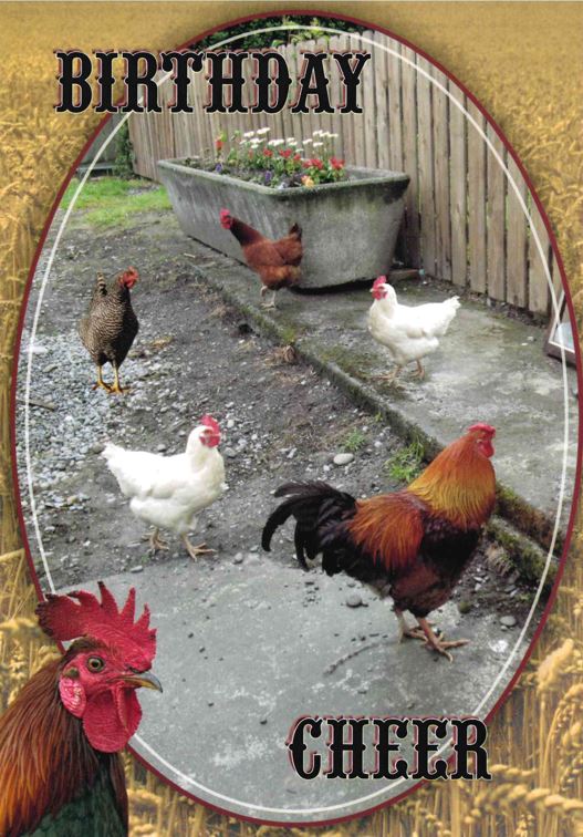 120-2233 Product Image 4