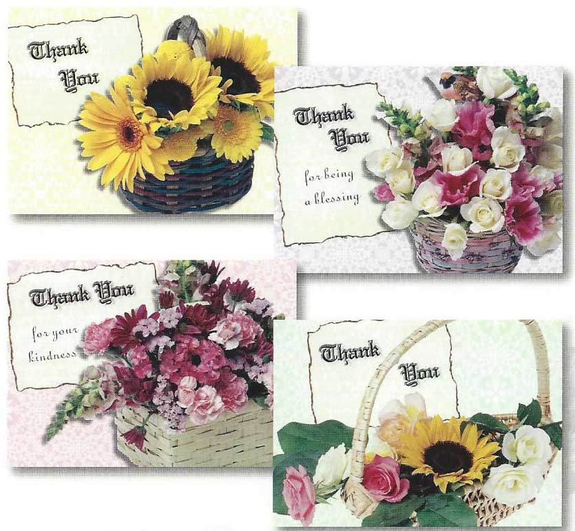 120-2234 Product Image 2