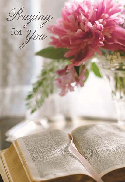 Product 120-2410 - View 2 120-2410 Product Image 2