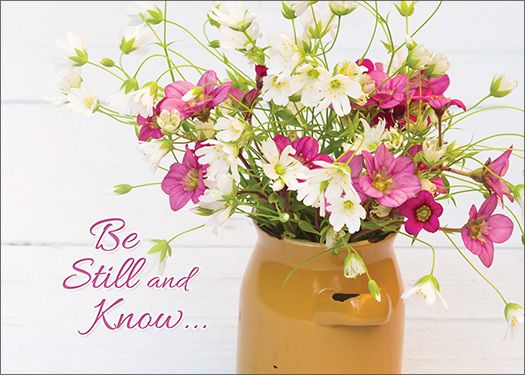 120-2459 Product Image 4