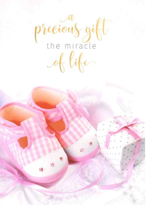 120-2493 Product Image 5