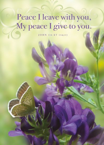 120-2712 Product Image 4