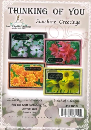 Cards Thinking of You Sunshine Greetings