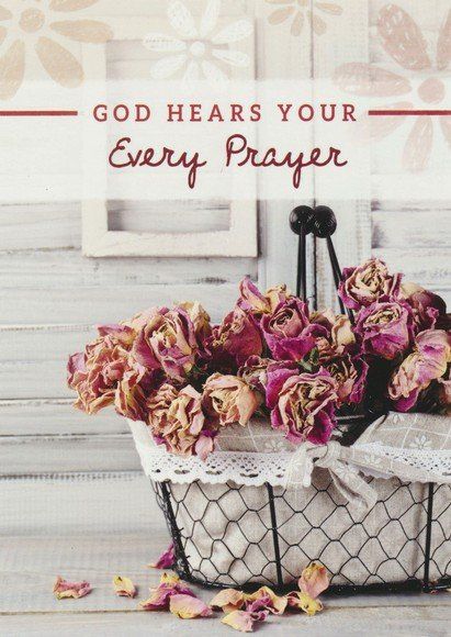 120-2716 Product Image 6