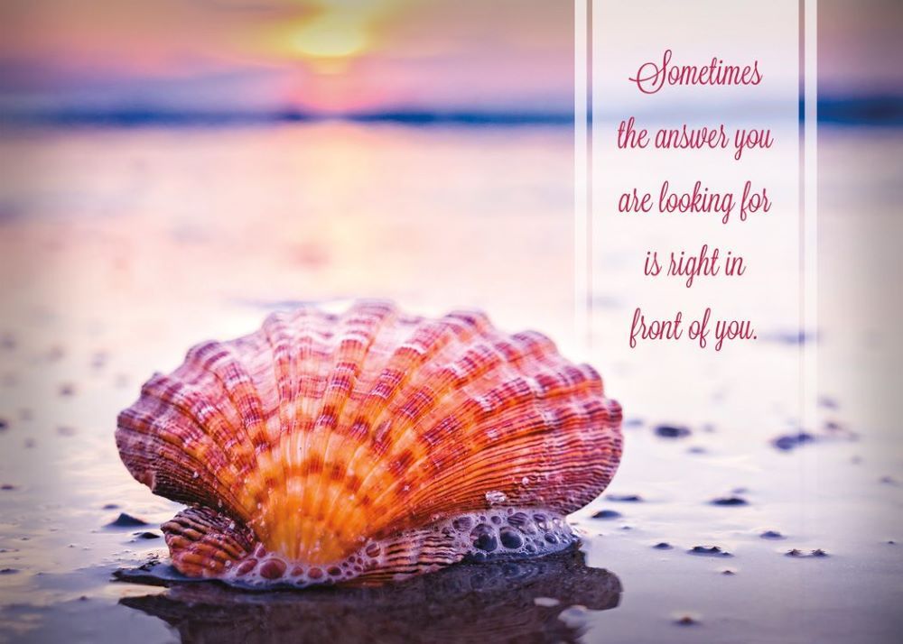 120-2717 Product Image 2