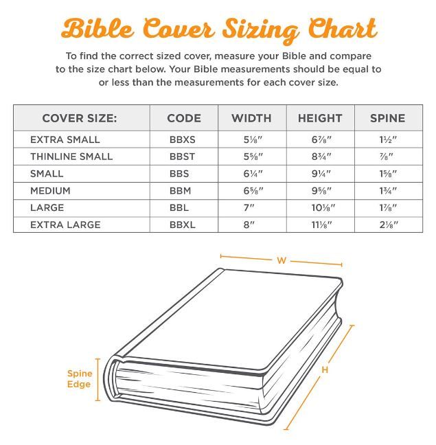 124-0211 Product Image 6