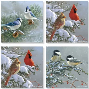 Coaster 4" Set/4 Birds on Pine