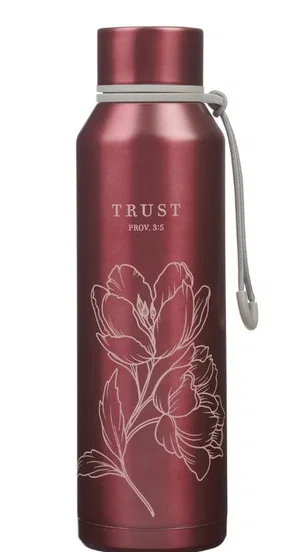 Water Bottle SS Pink Trust Prov. 3:5